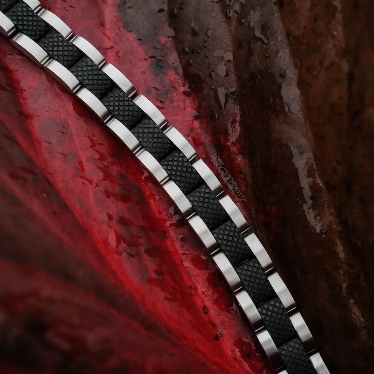 Holzkern Bandlets|Bandlets^Accord