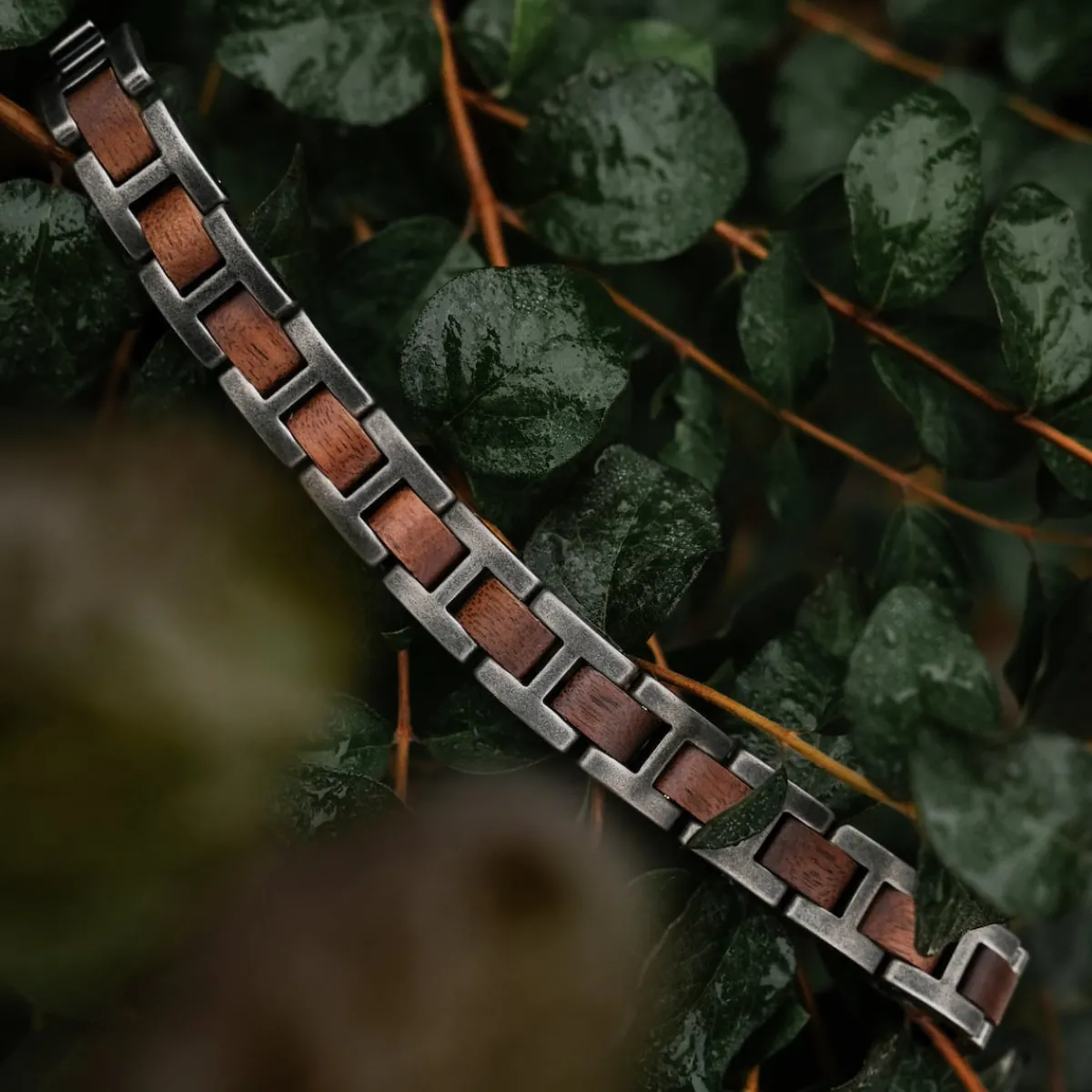 Holzkern Bandlets|Bandlets^Acoustic