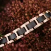 Holzkern Bandlets|Bandlets^Acoustic