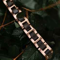 Holzkern Bandlets|Bandlets^Acoustic