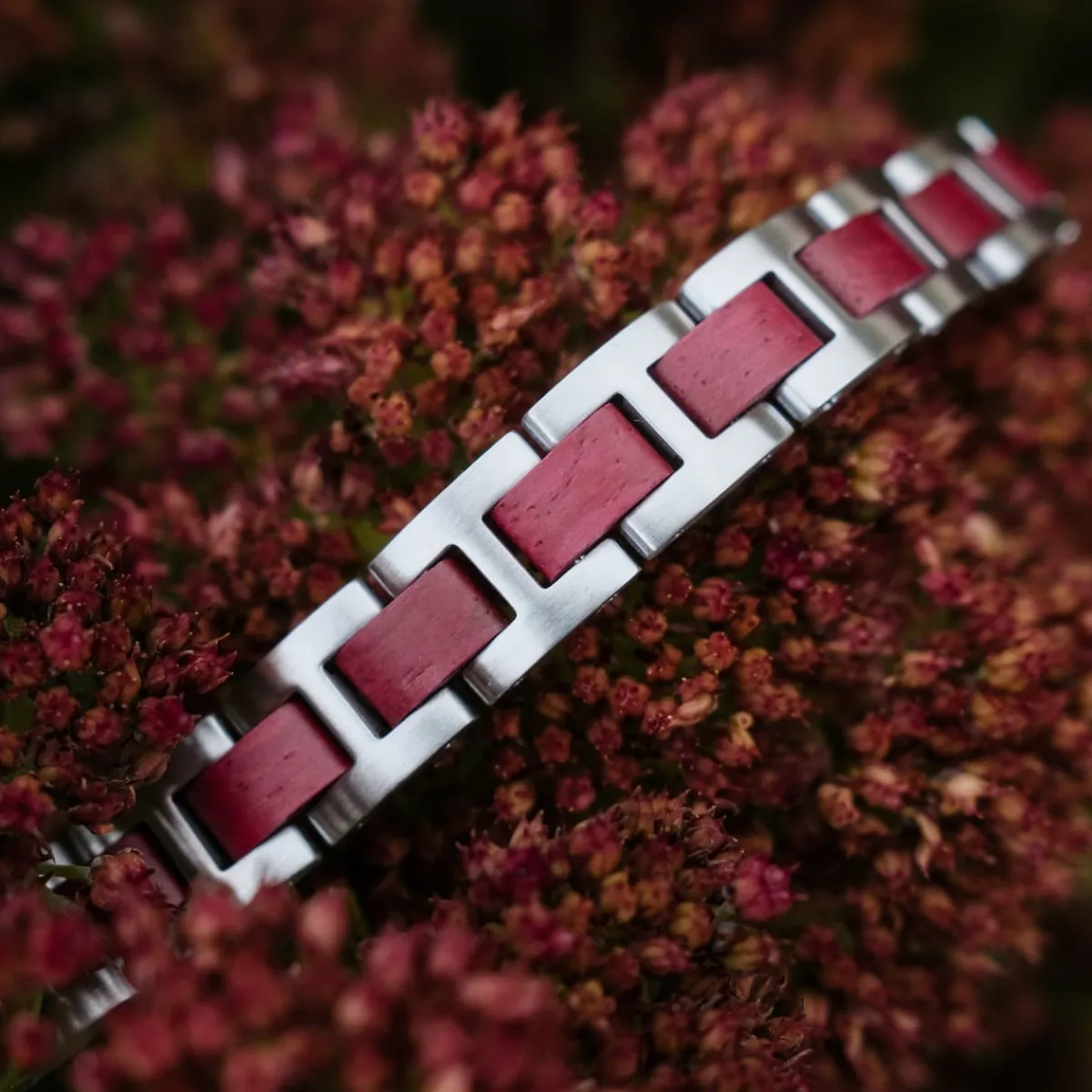Holzkern Bandlets|Bandlets^Acoustic