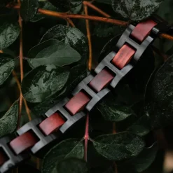 Holzkern Bandlets|Bandlets^Acoustic