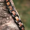 Holzkern Bandlets|Bandlets^Acoustic