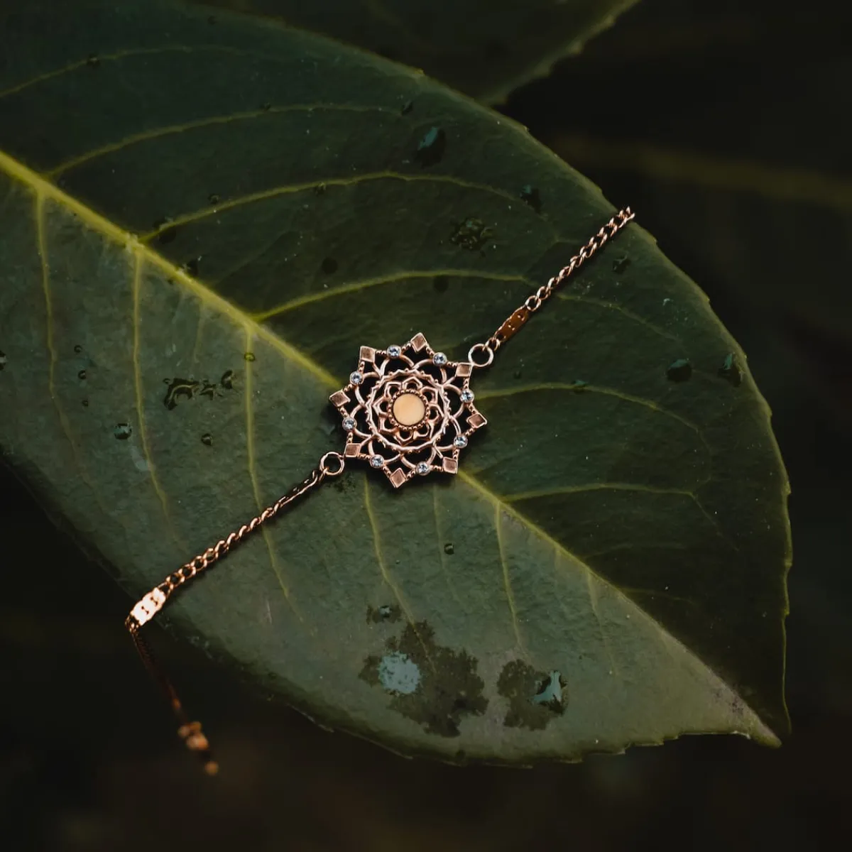 Holzkern Armbänder|Schmuck^Aphonia Armband