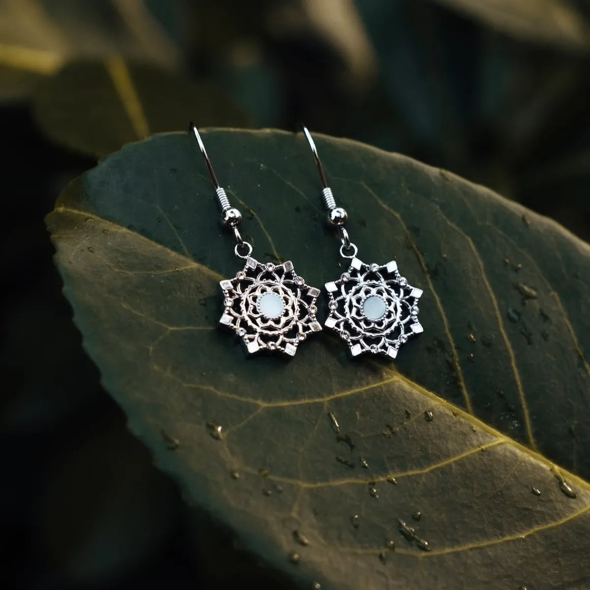 Holzkern Ohrringe|Schmuck^Aphonia Ohrringe