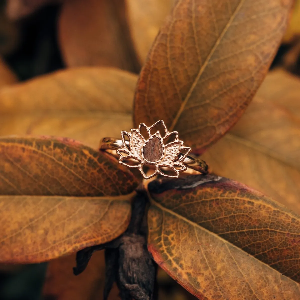Holzkern Ringe|Schmuck^Balance Ring