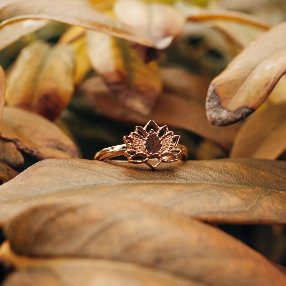 Holzkern Ringe|Schmuck^Balance Ring