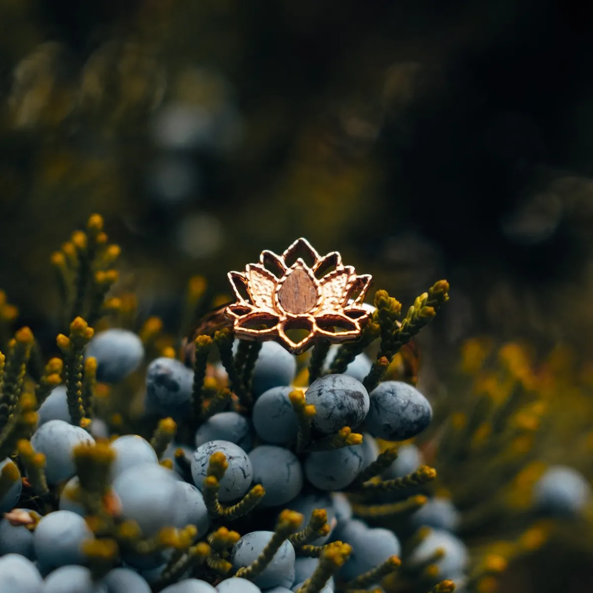 Holzkern Ringe|Schmuck^Balance Ring