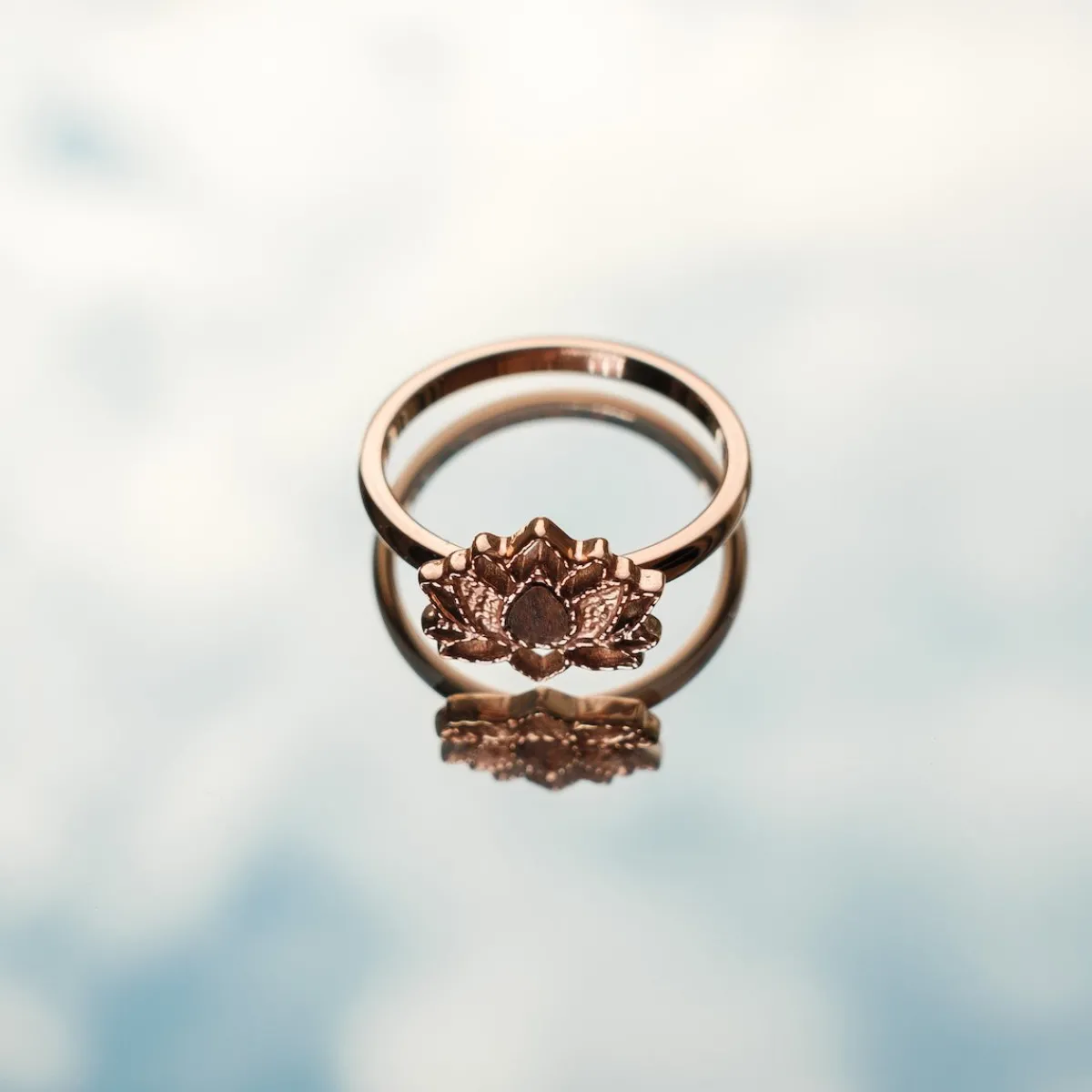 Holzkern Ringe|Schmuck^Balance Ring