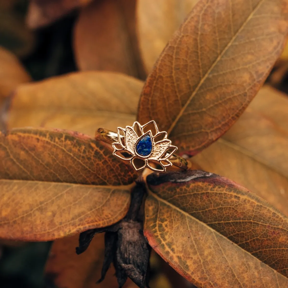Holzkern Ringe|Schmuck^Balance Ring