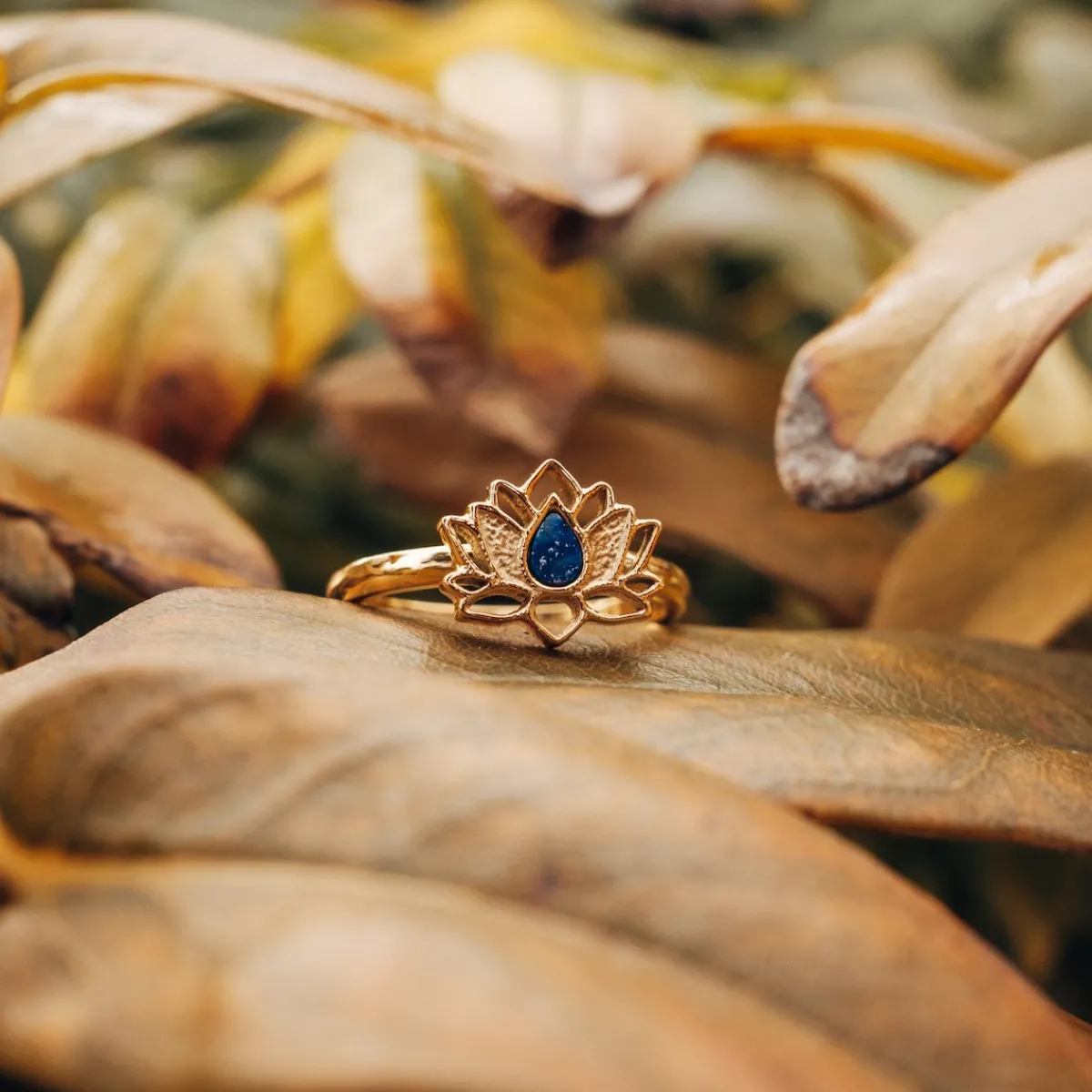 Holzkern Ringe|Schmuck^Balance Ring