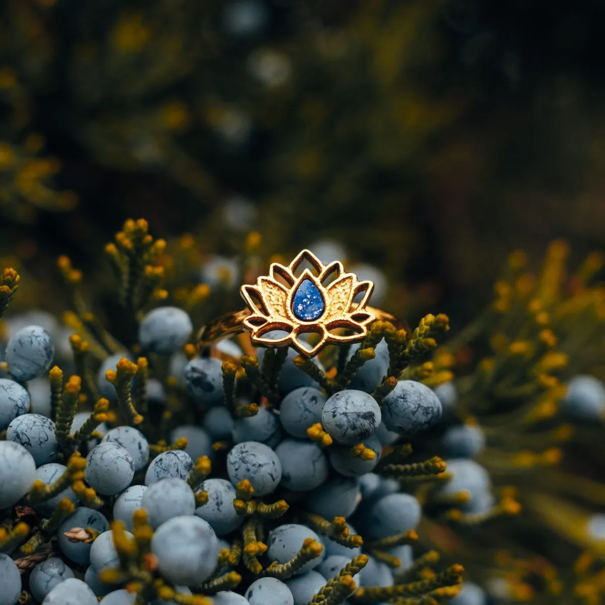 Holzkern Ringe|Schmuck^Balance Ring