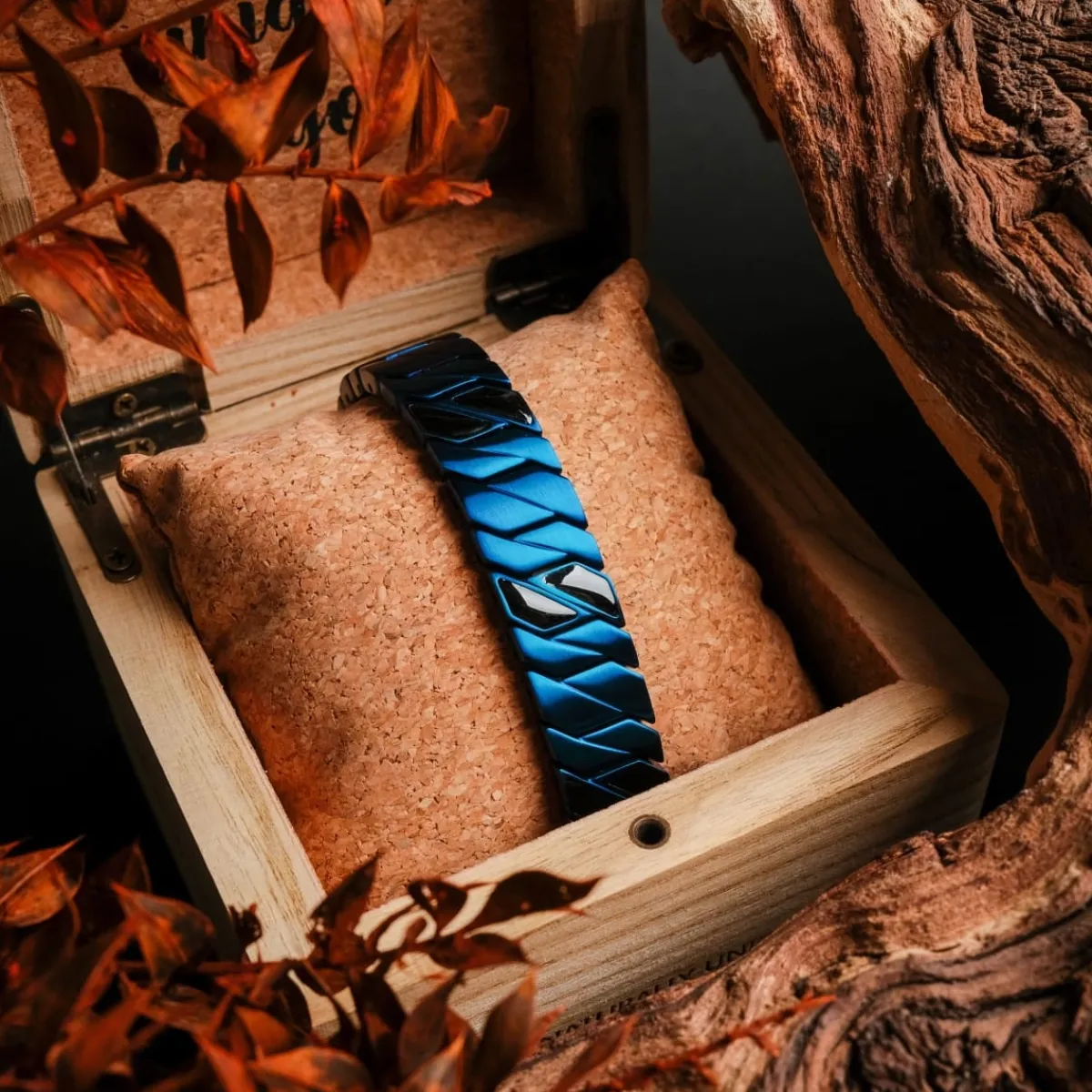 Holzkern Bandlets|Bandlets^Bariton