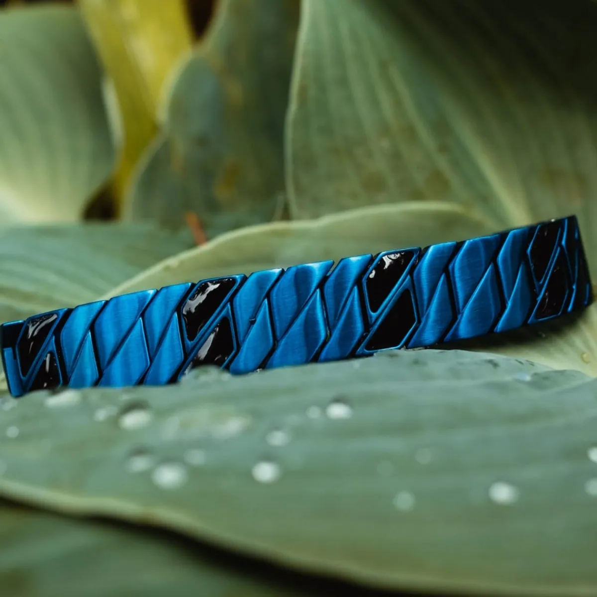 Holzkern Bandlets|Bandlets^Bariton