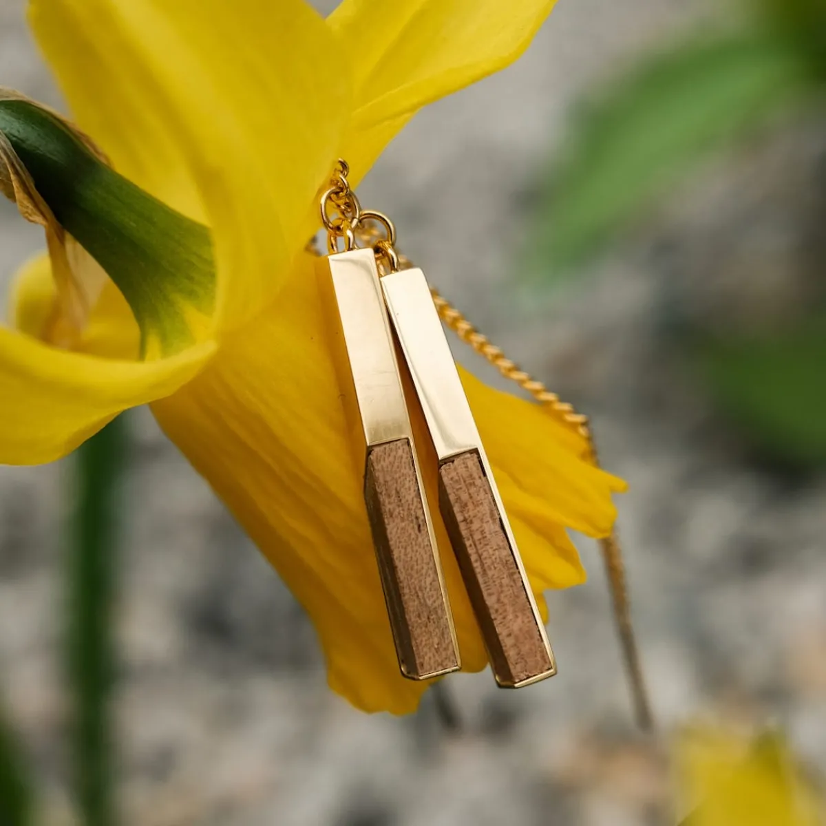 Holzkern Ohrringe|Schmuck^Campania Ohrringe