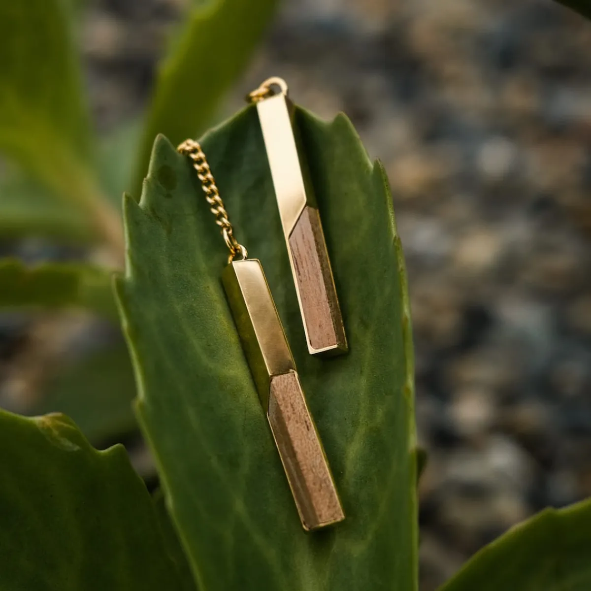 Holzkern Ohrringe|Schmuck^Campania Ohrringe
