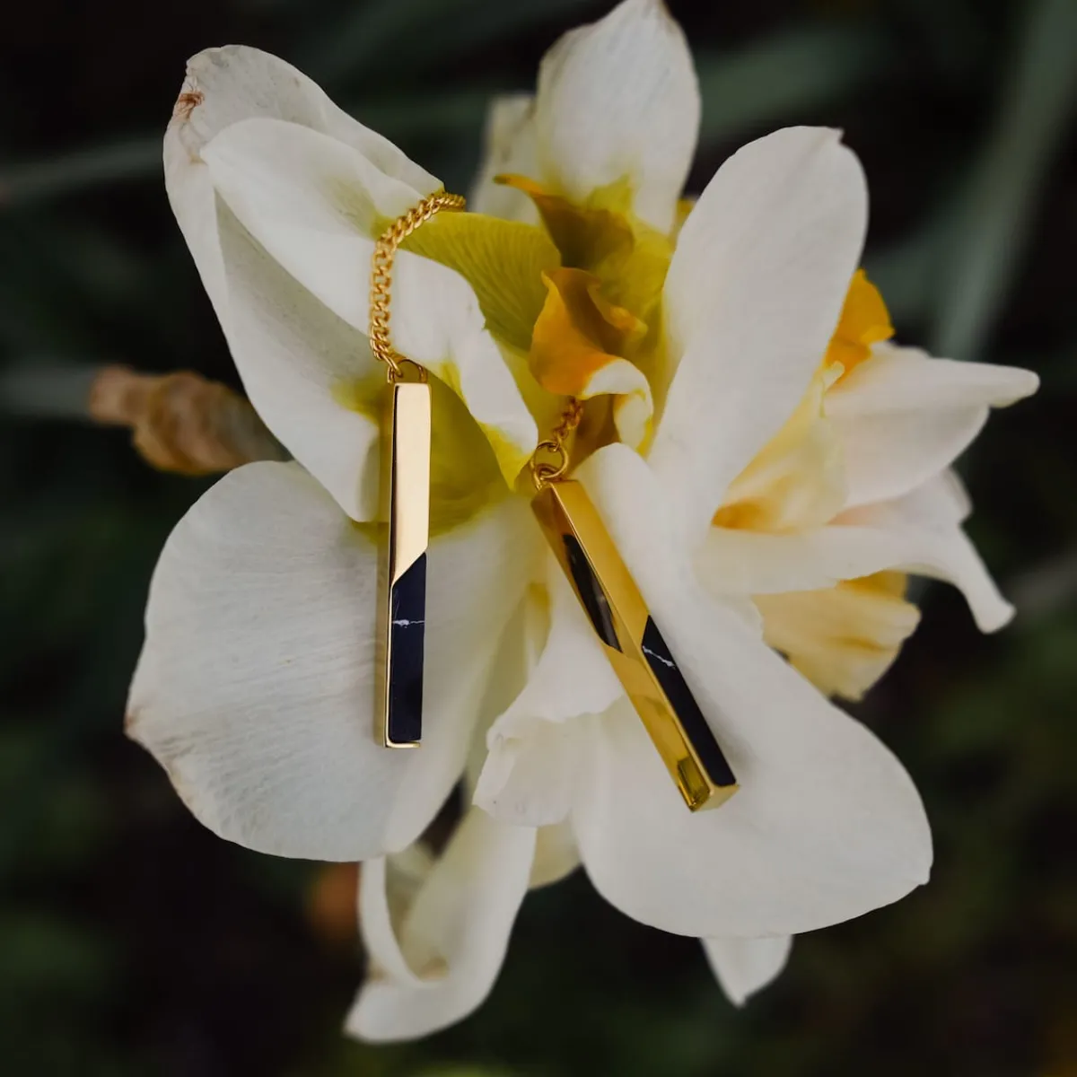 Holzkern Ohrringe|Schmuck^Campania Ohrringe