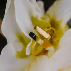 Holzkern Ringe|Schmuck^Campania Ring
