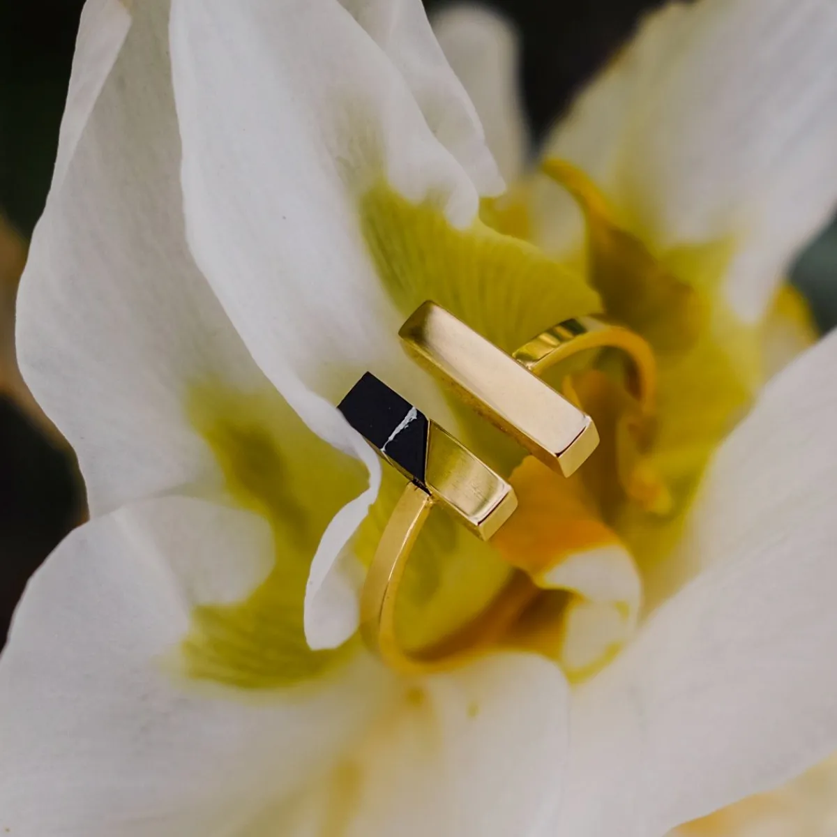 Holzkern Ringe|Schmuck^Campania Ring