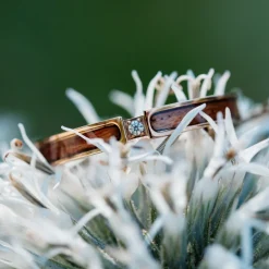 Holzkern Ringe|Schmuck^Campania Ring