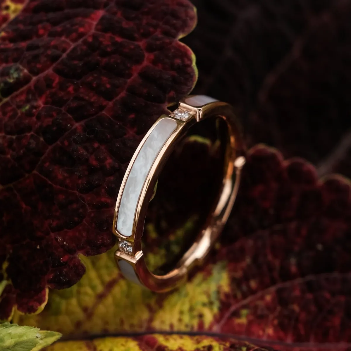 Holzkern Ringe|Schmuck^Campania Ring