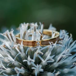 Holzkern Ringe|Schmuck^Campania Ring