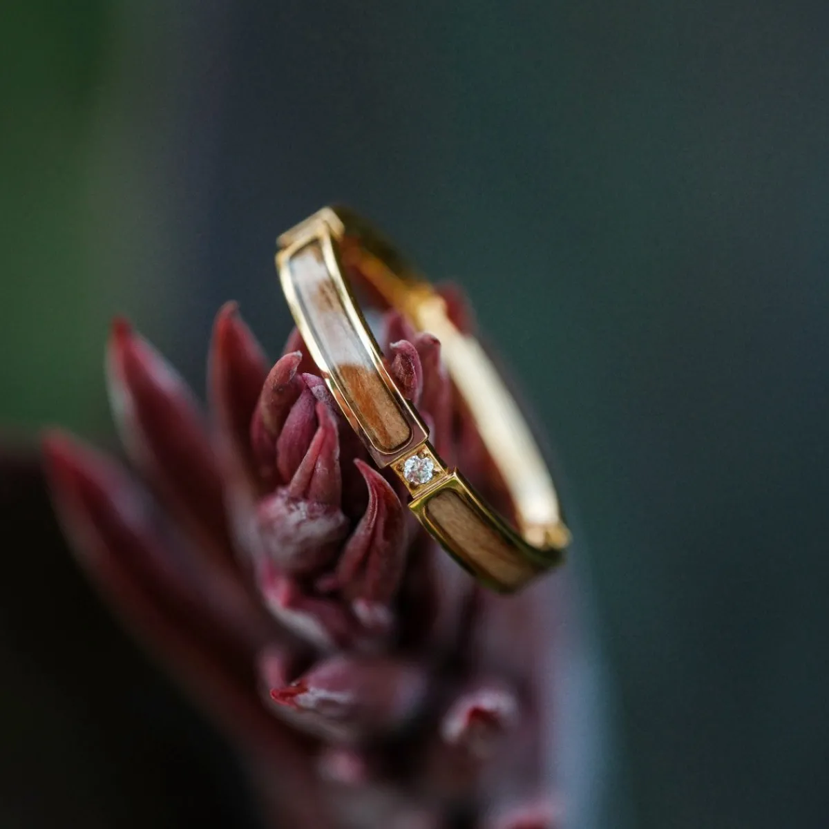 Holzkern Ringe|Schmuck^Campania Ring
