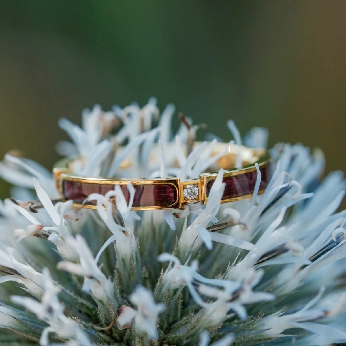 Holzkern Ringe|Schmuck^Campania Ring