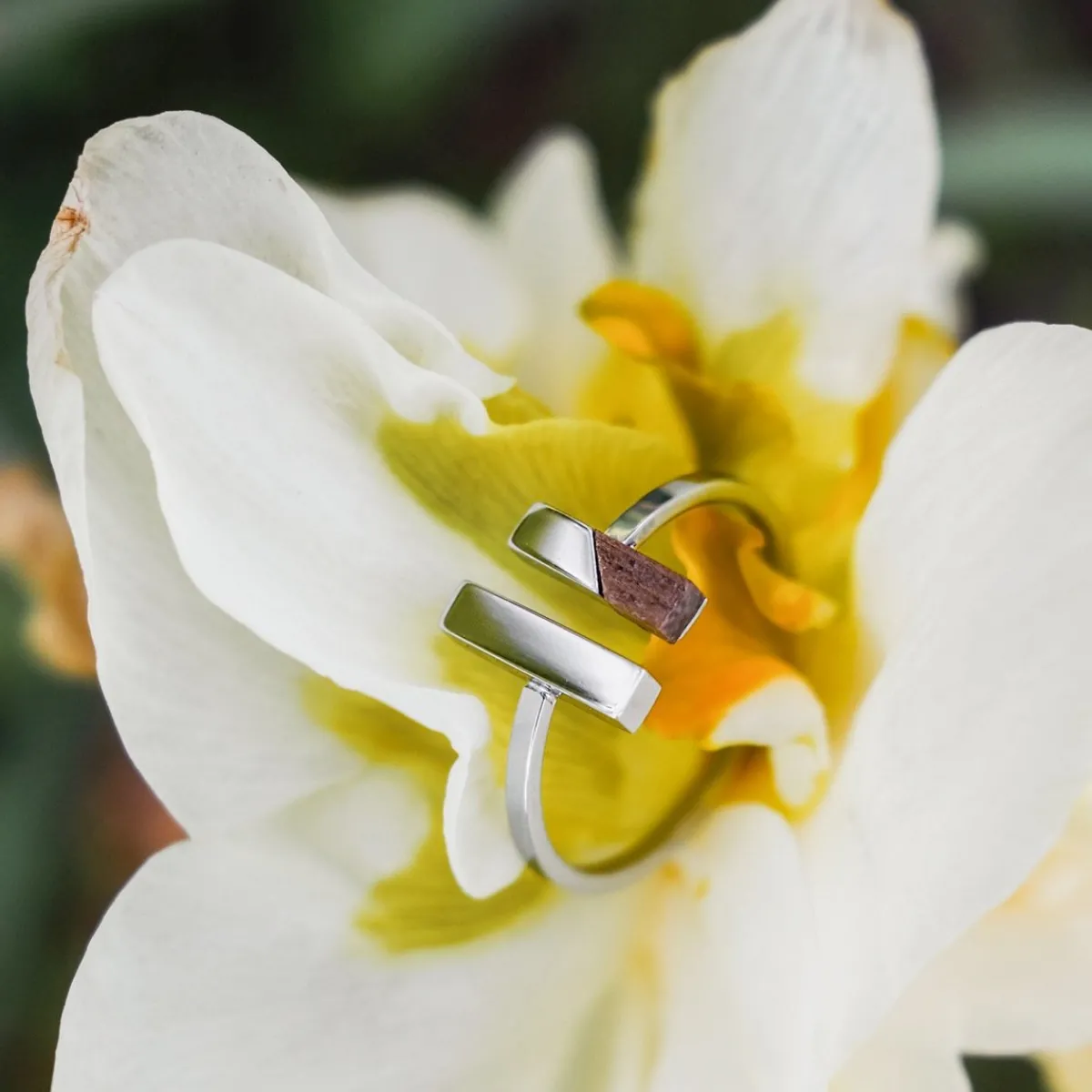 Holzkern Ringe|Schmuck^Campania Ring