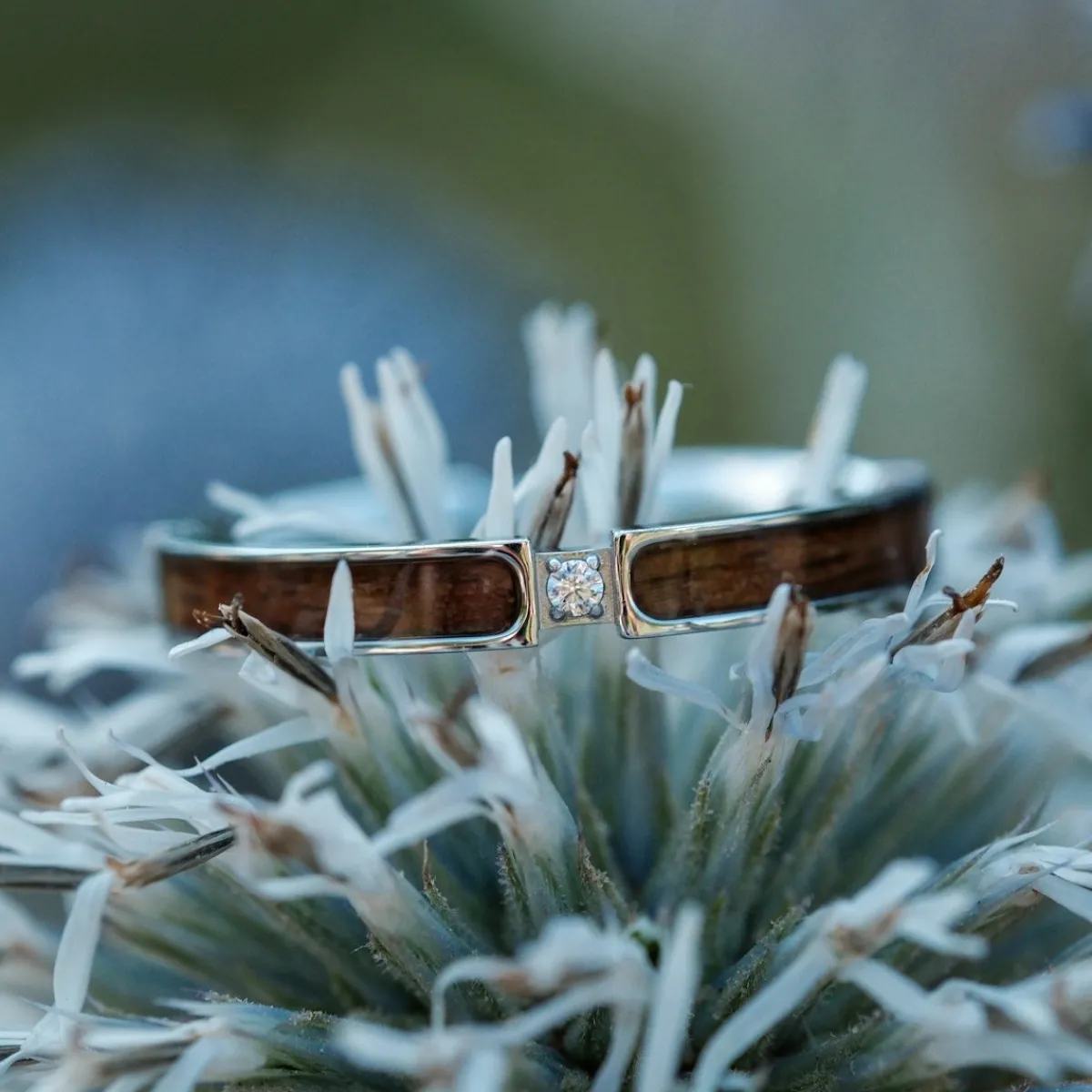 Holzkern Ringe|Schmuck^Campania Ring II