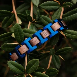 Holzkern Bandlets|Bandlets^Capriccio