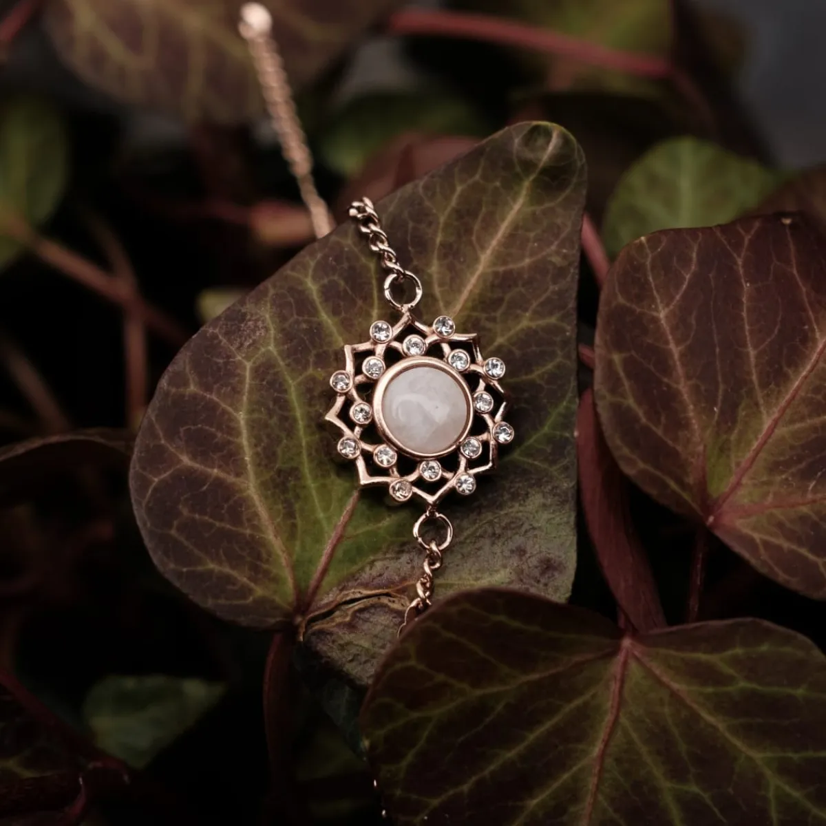 Holzkern Armbänder|Schmuck^Composition Gem Armband