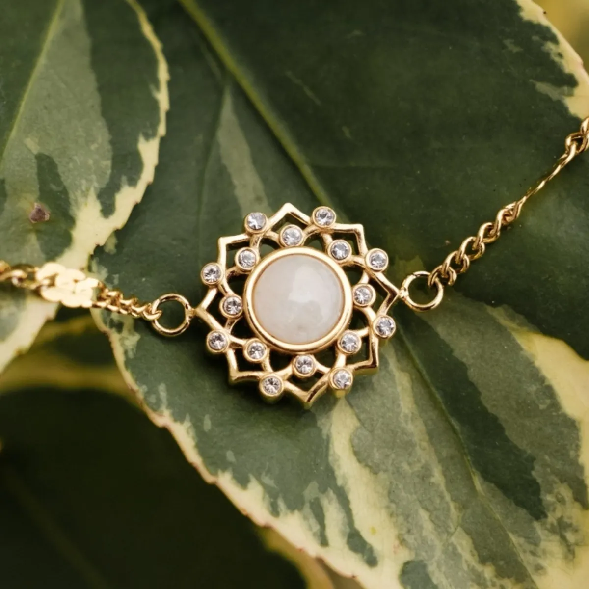 Holzkern Armbänder|Schmuck^Composition Gem Armband