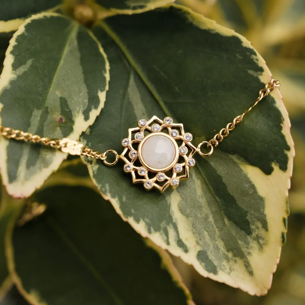 Holzkern Armbänder|Schmuck^Composition Gem Armband