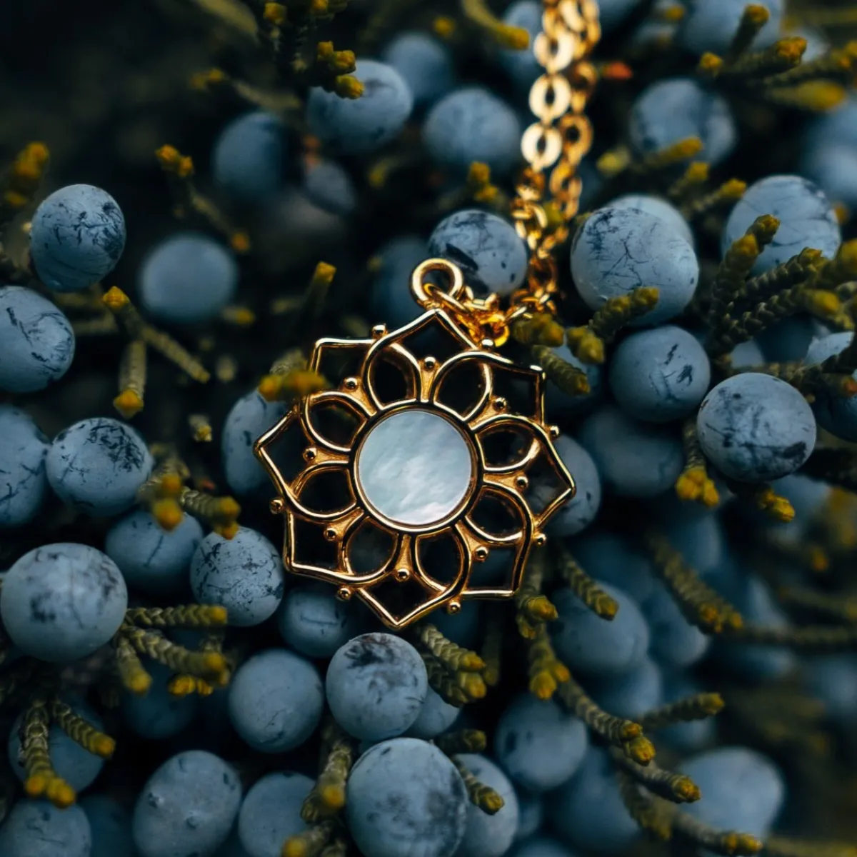 Holzkern Halsketten|Schmuck^Composition Halskette