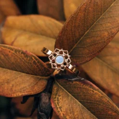 Holzkern Ringe|Schmuck^Composition Ring