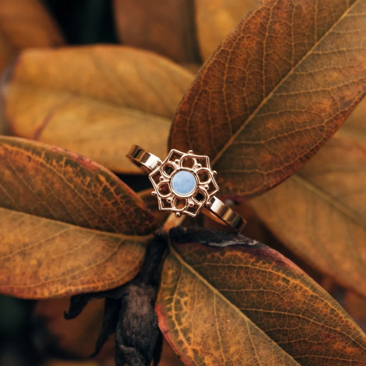 Holzkern Ringe|Schmuck^Composition Ring