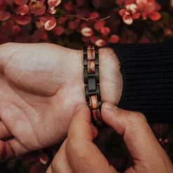 Holzkern Bandlets|Bandlets^Dreiklang