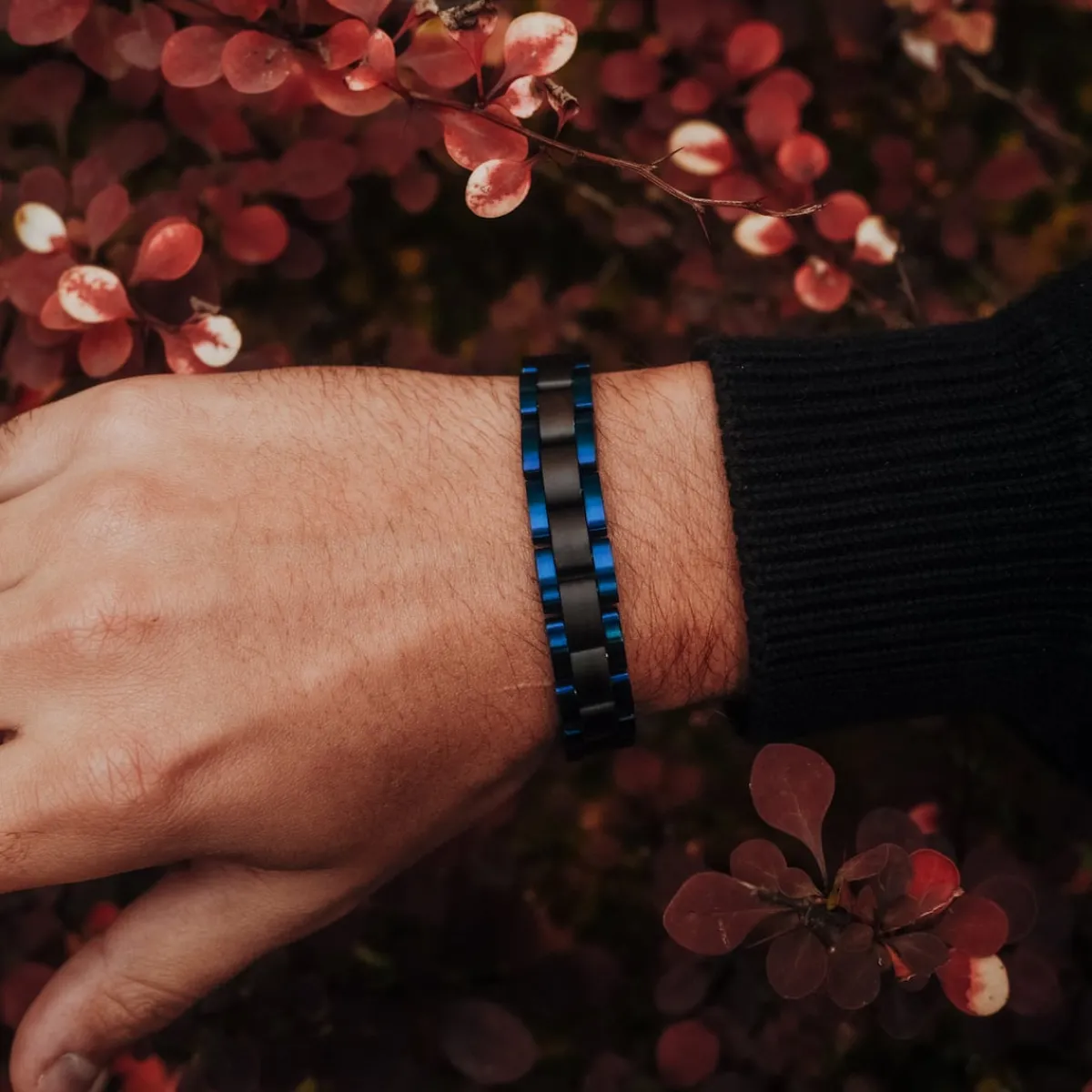 Holzkern Bandlets|Bandlets^Dreiklang