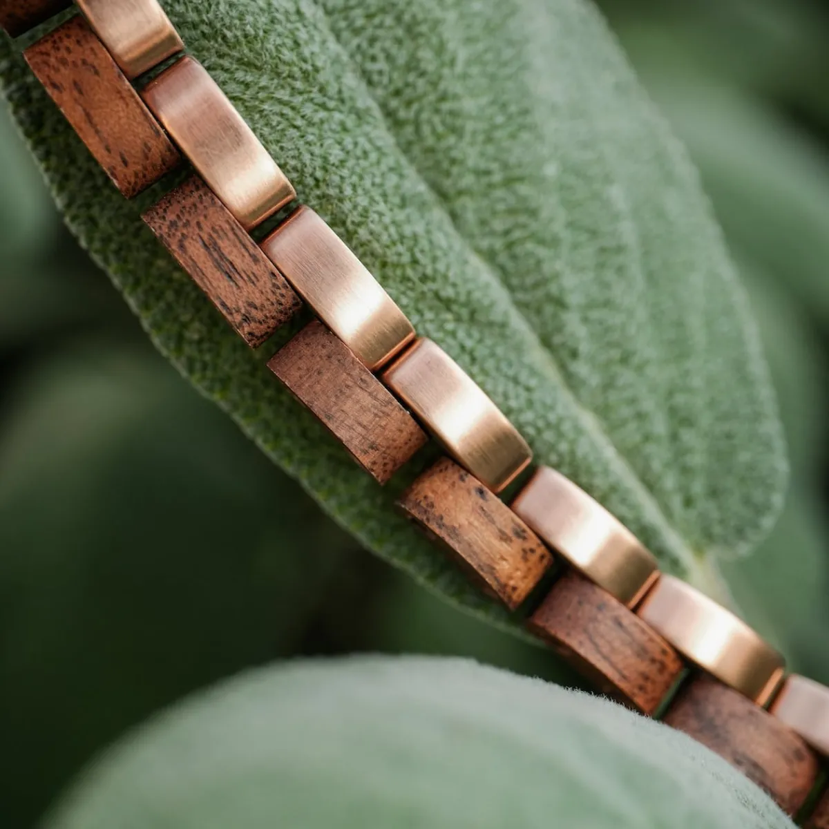 Holzkern Bandlets|Bandlets^Duett