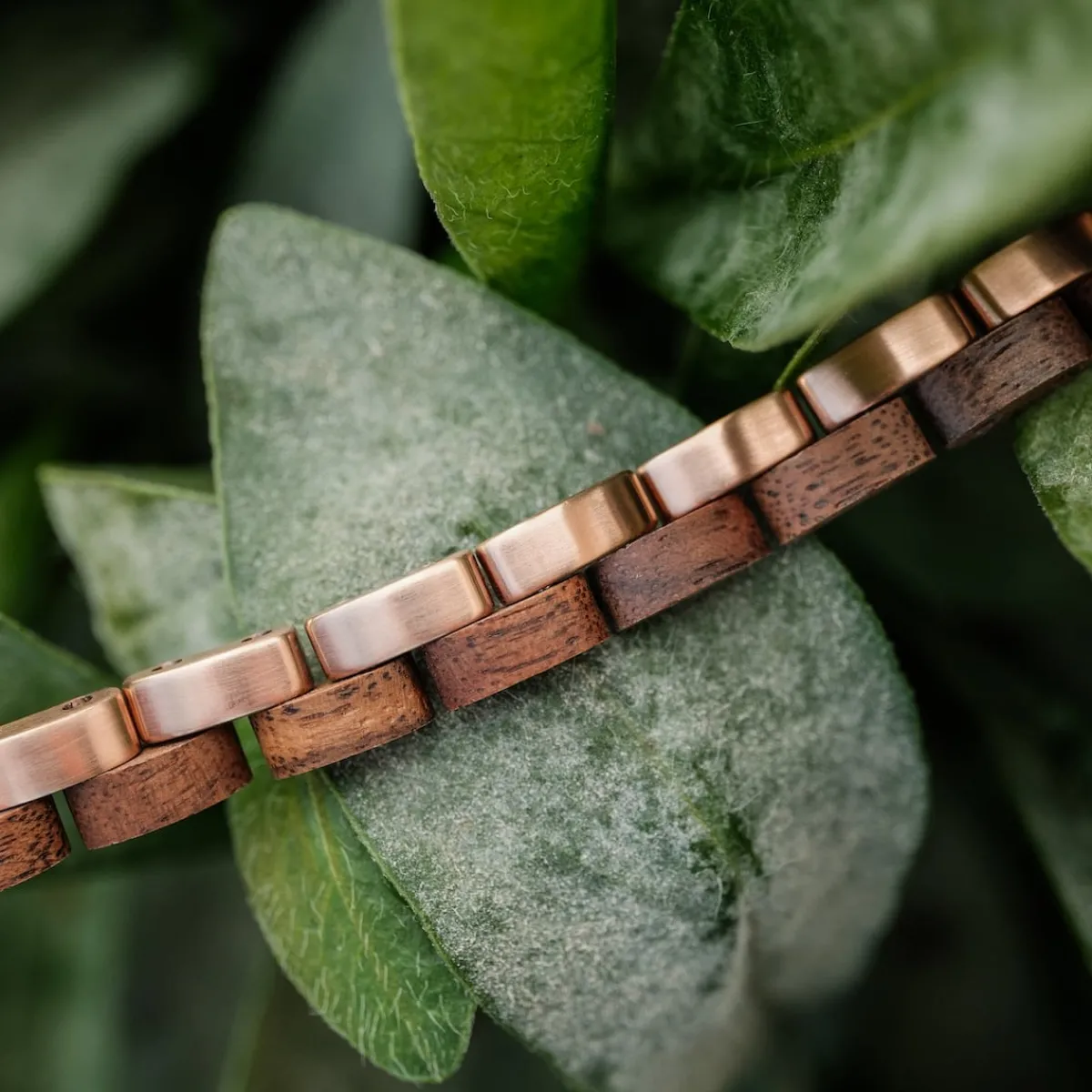 Holzkern Bandlets|Bandlets^Duett