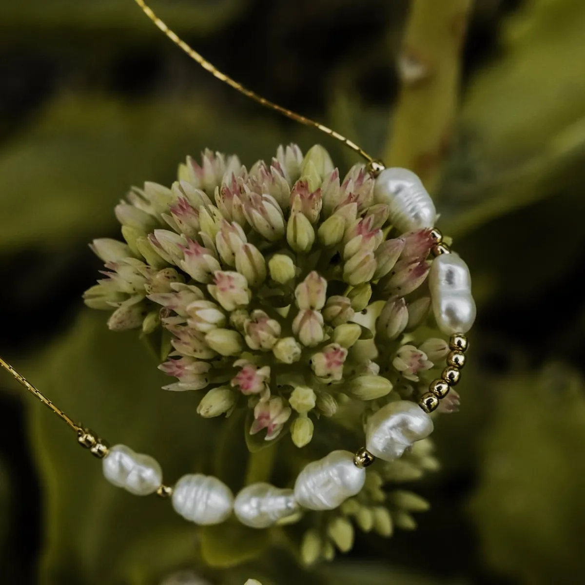 Holzkern Halsketten|Schmuck^Everforever Halskette