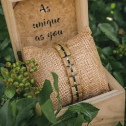 Holzkern Bandlets^Fantasia
