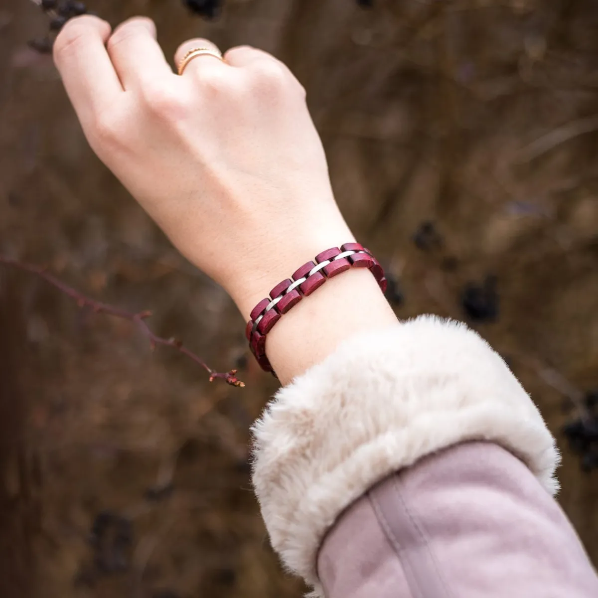 Holzkern Bandlets|Bandlets^Fantasia