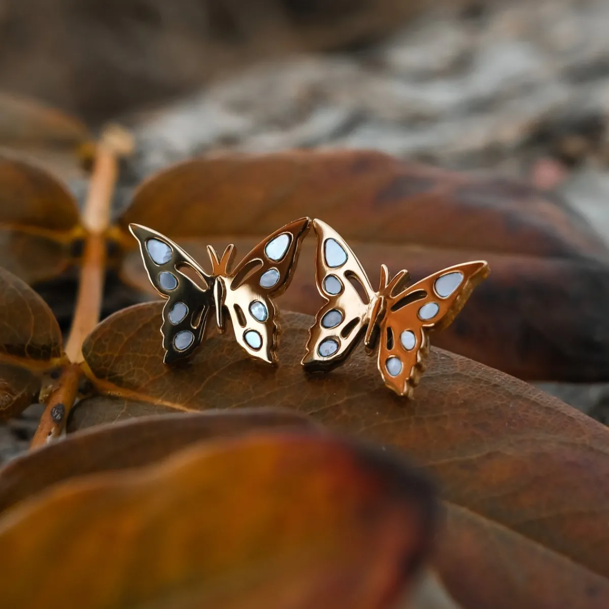 Holzkern Ohrringe|Schmuck^Fritillary Ohrringe
