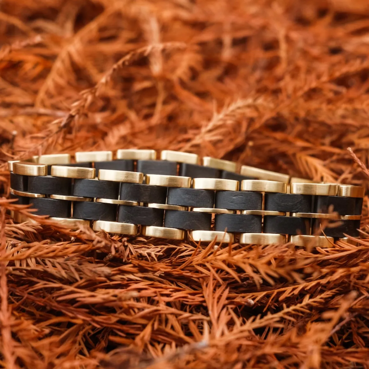 Holzkern Bandlets|Bandlets^Kanon
