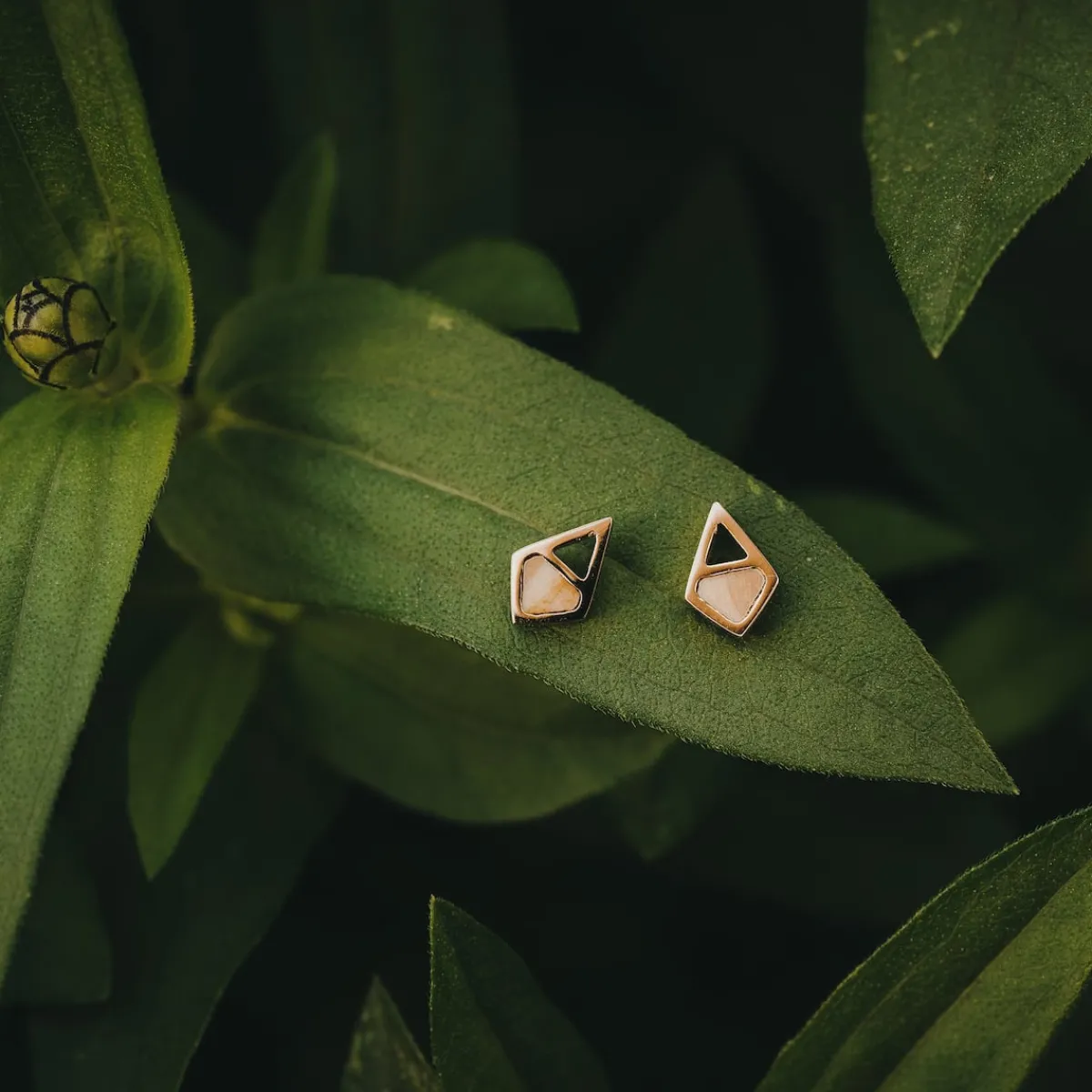 Holzkern Ohrringe|Schmuck^Mandala Ohrringe