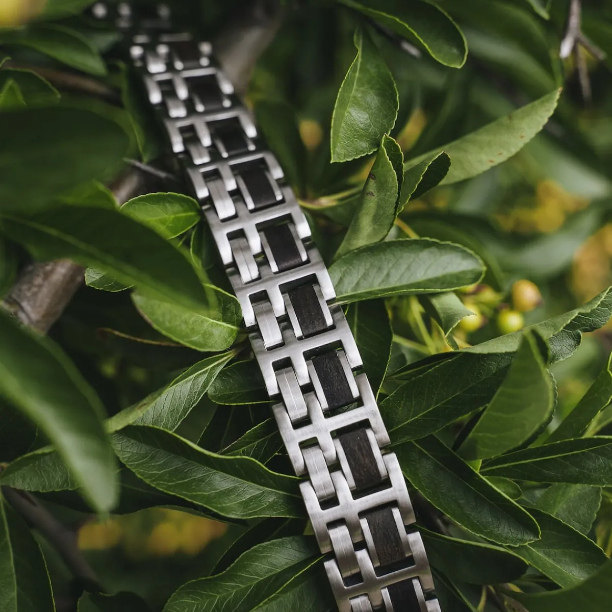 Holzkern Bandlets|Bandlets^Metronom