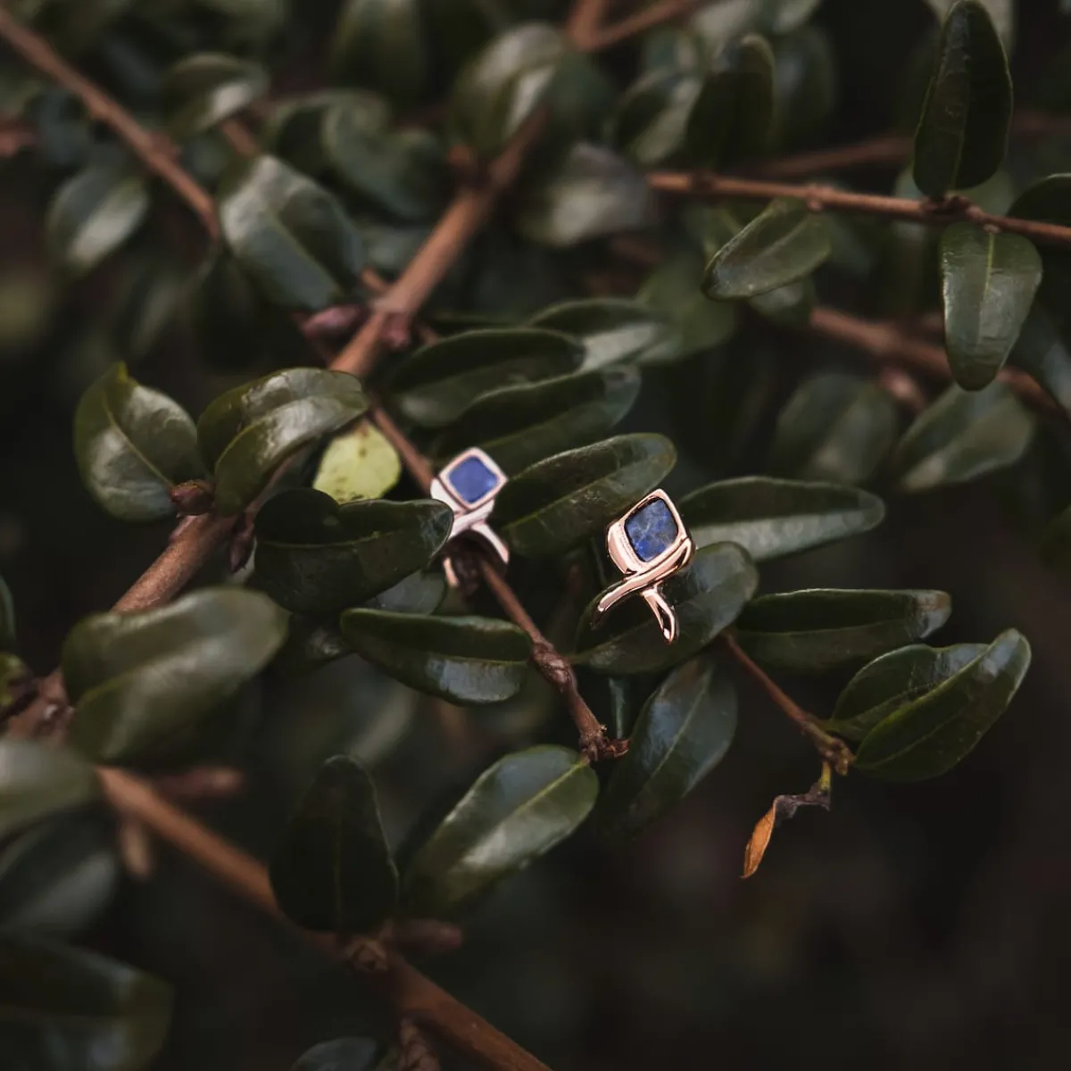 Holzkern Ohrringe|Schmuck^Mosaic Ohrringe