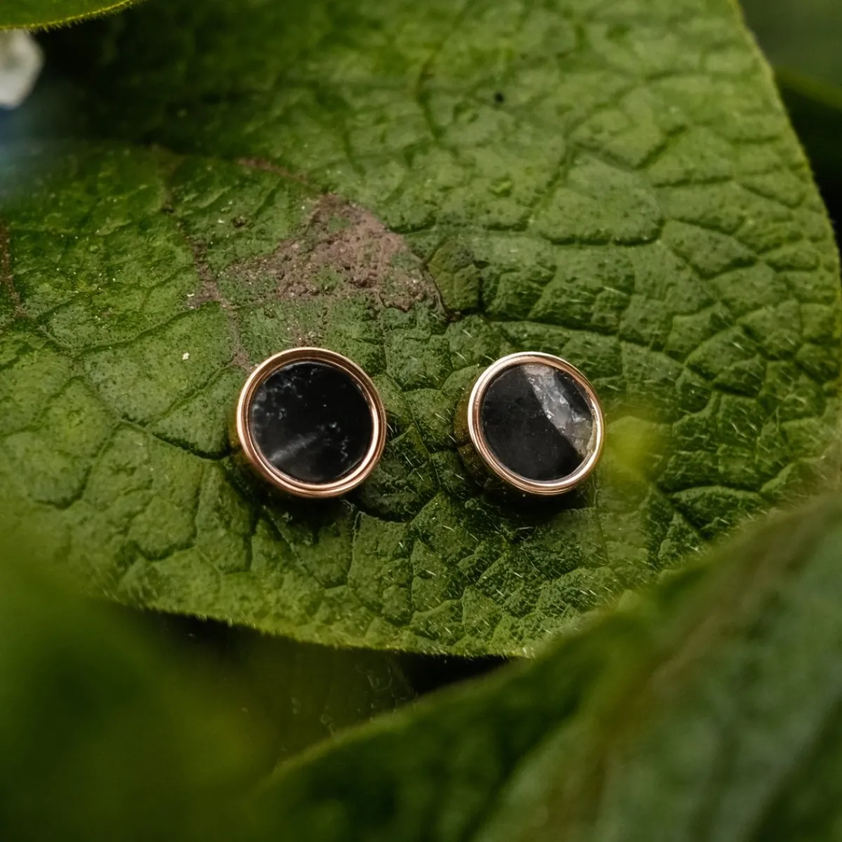 Holzkern Ohrringe|Schmuck^Pigment Ohrringe